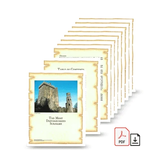 Coat of Arms and Extended History Download (PDF) - A4 Size
