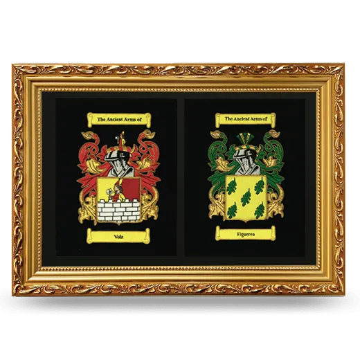 Double Embroidered Coat of Arms Framed - Gold